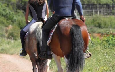 Exercice d’endurance équestre à Lançon : un entraînement adapté pour tous les niveaux de cavaliers