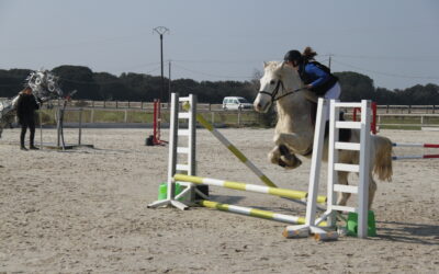 Le saut d’obstacle et l’endurance : des activités dans notre centre équestre près de Salon-de-Provence