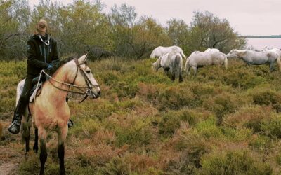 Sorties en Camargue