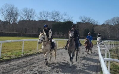 Découverte des courses à poneys