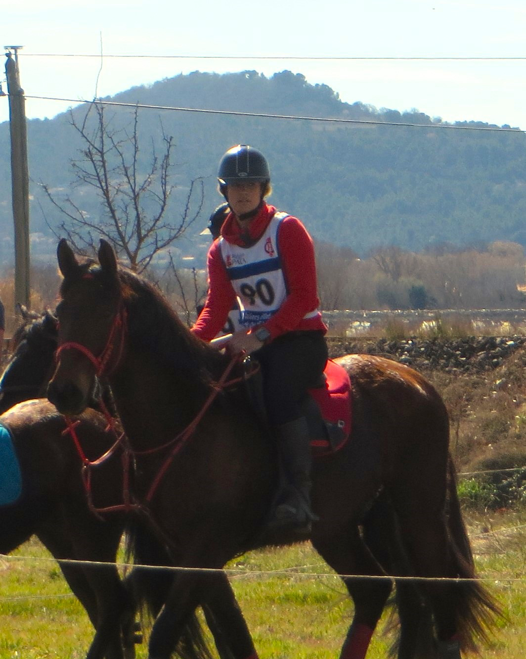 Poney et sa cavalière