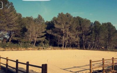 Course de poneys junior à Marseille