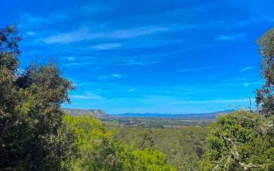 Balade à cheval à Lançon : vivre un moment mémorable