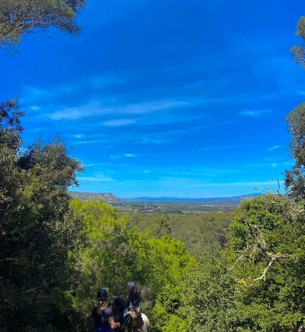 Balade à cheval à Lançon : vivre un moment mémorable
