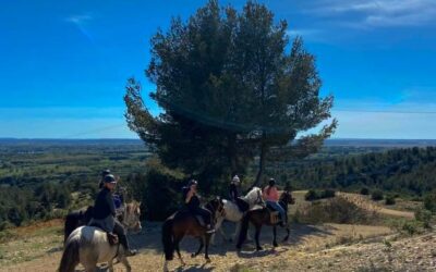 Sortie équestre à Lançon : activité adaptée à tous les niveaux