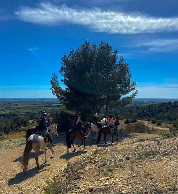 Sortie équestre à Lançon : activité adaptée à tous les niveaux