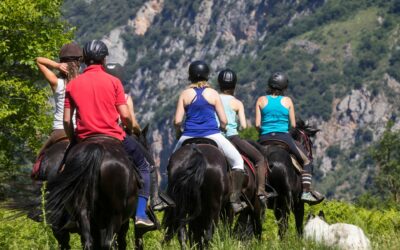 Balade à cheval pour débutants à Salon-de-Provence : une façon originale de découvrir la Provence
