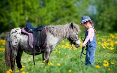 Balade à cheval pour enfants à Lançon : un moment inoubliable pour votre enfant
