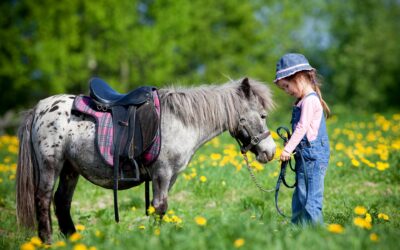 Balade à cheval pour enfants près d’Aix-en-Provence : une aventure inoubliable