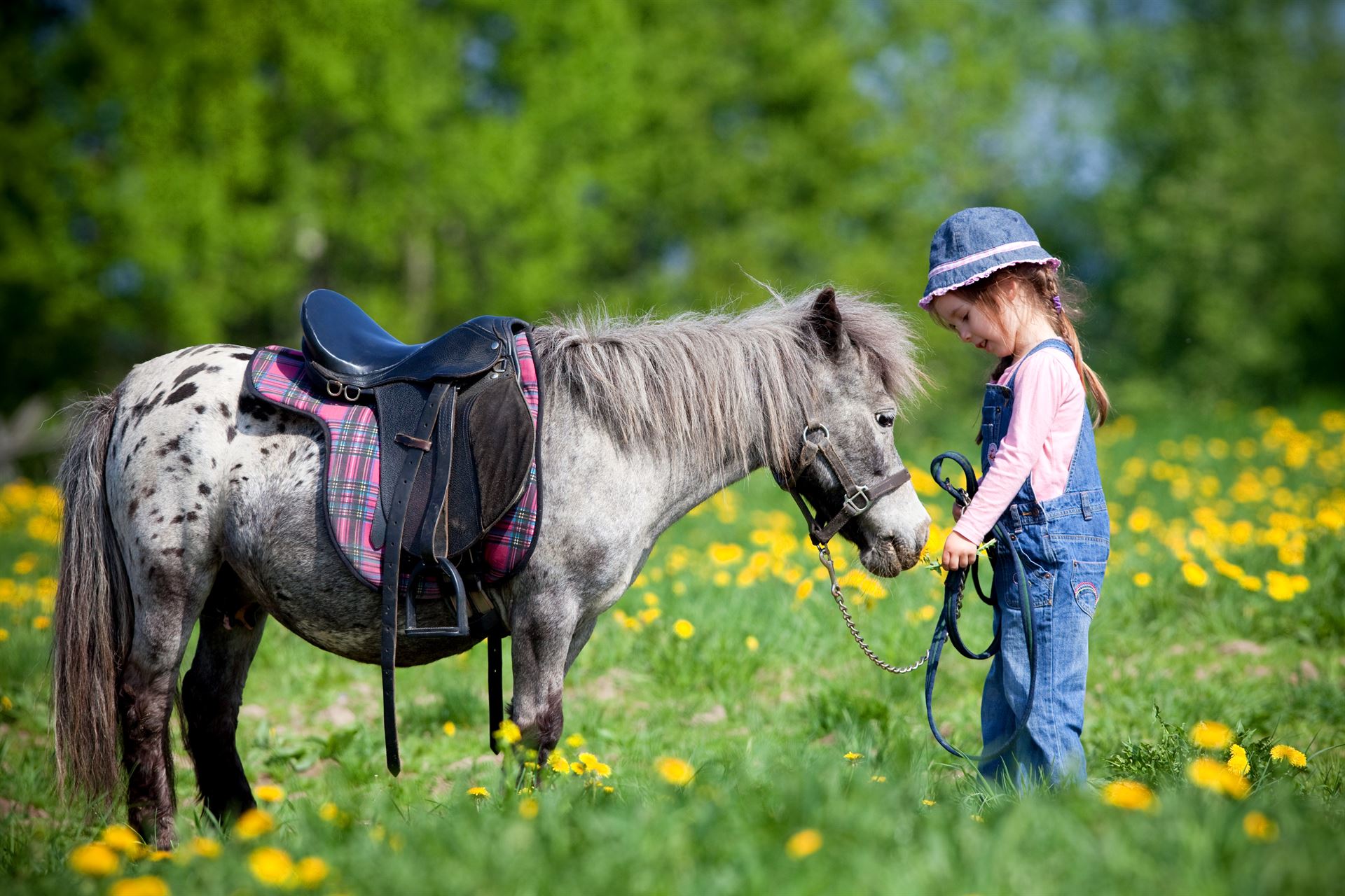 Balade à cheval pour enfants près d'Aix-en-Provence