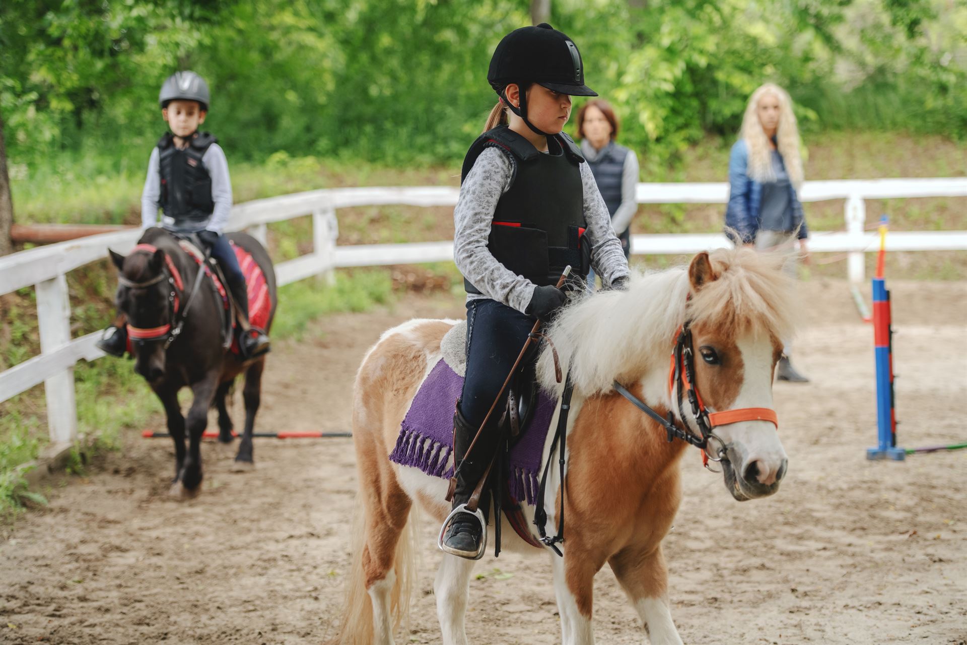 Courses de poneys à Marseille